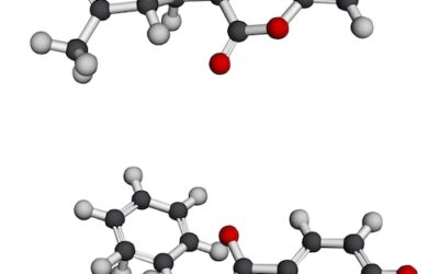 Sept différences n°8