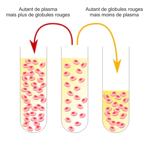 Est-ce que le sang peut être trop épais ?