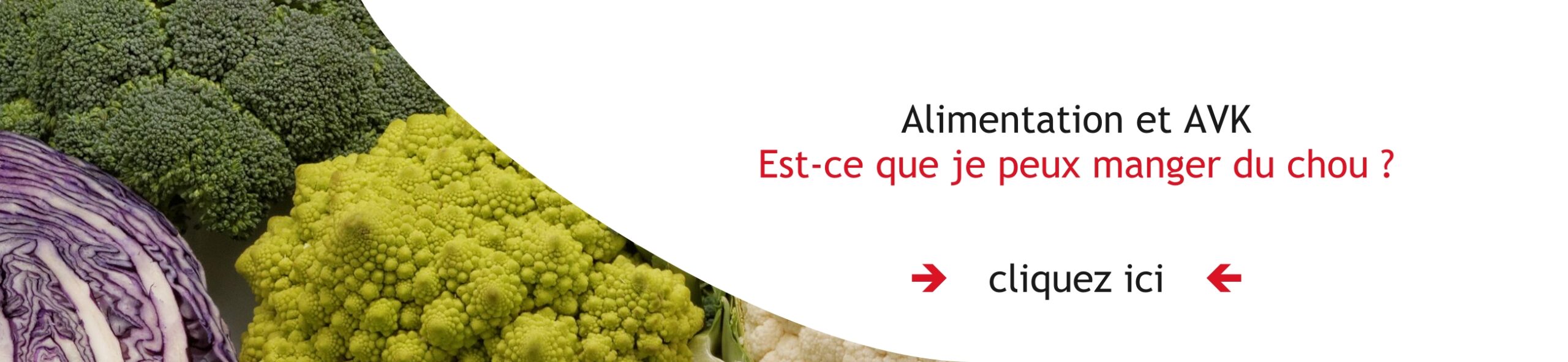 slide 2026 alimentation