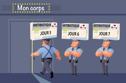 Antibiotiques : prise unique ou à répétition ?
